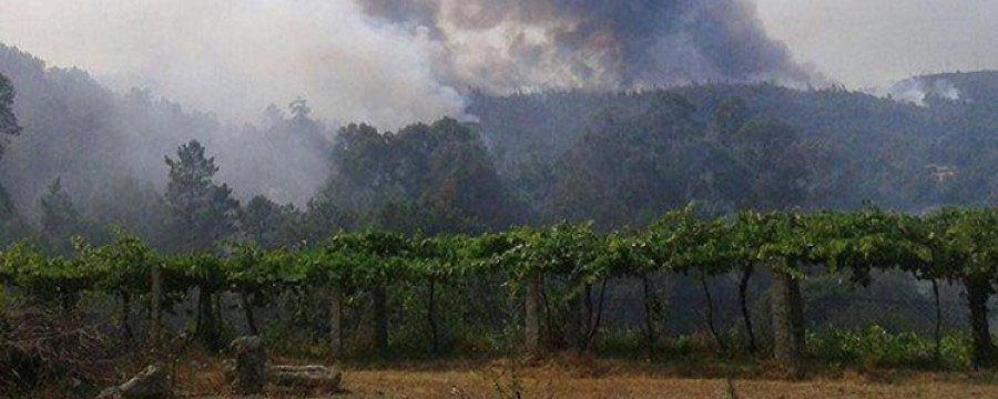 Feijóo sitúa a los equipos de extinción de incendios de Galicia entre los mejores de Europa