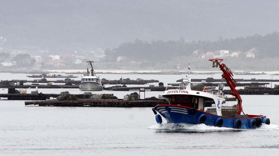 Las bateeiras pierden peso en Arousa con 835 trabajadoras menos en el último lustro