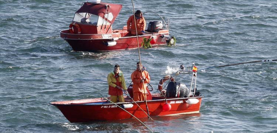 El berberecho promete ser el balón de oxígeno del libre marisqueo ante la escasez de almeja