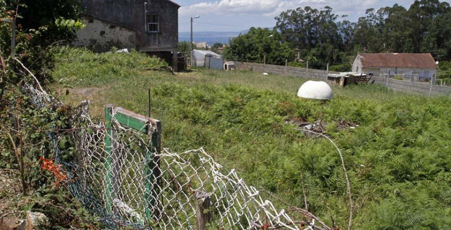 Vecinos de Trabanca Badiña denuncian maleza y una “perrera ilegal” en una finca