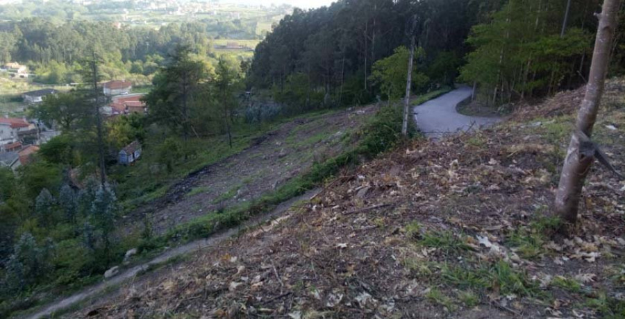 Somos En Marea denuncia una nueva tala de árboles del Concello en Bordóns