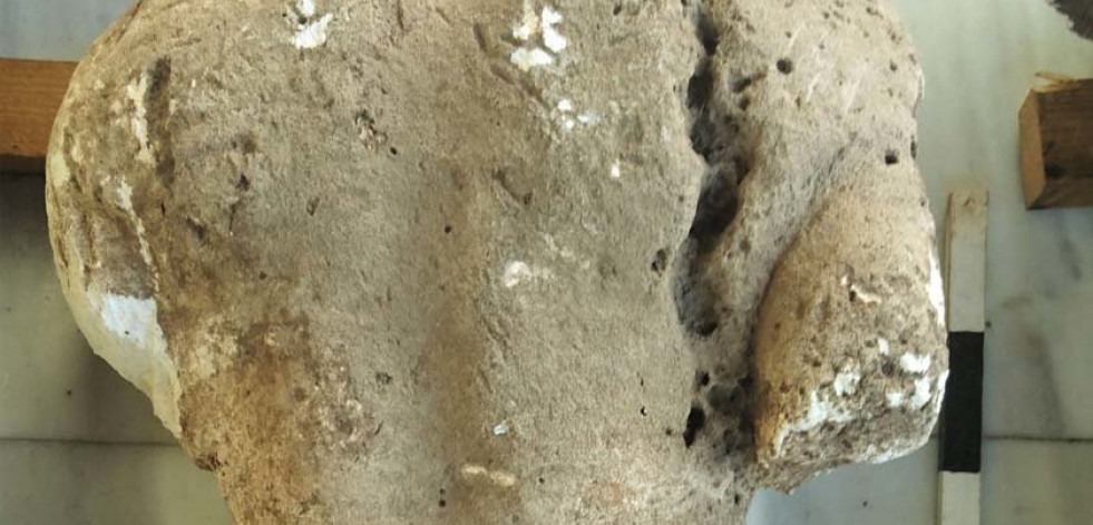 Descubre un yacimiento de la Antigua Grecia al plantar olivos