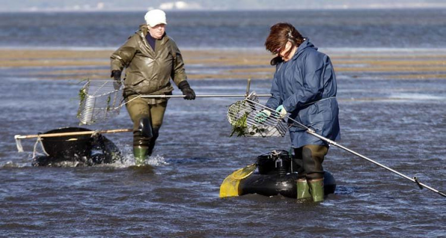 Dimite la directiva de las mariscadoras de Carril y la estabilidad del Pósito se tambalea