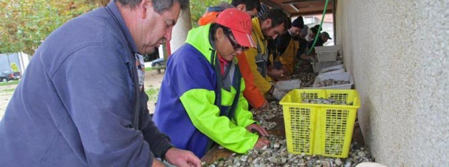 La lonjas arousanas recuperan el pulso y facturan 59,4 millones hasta noviembre