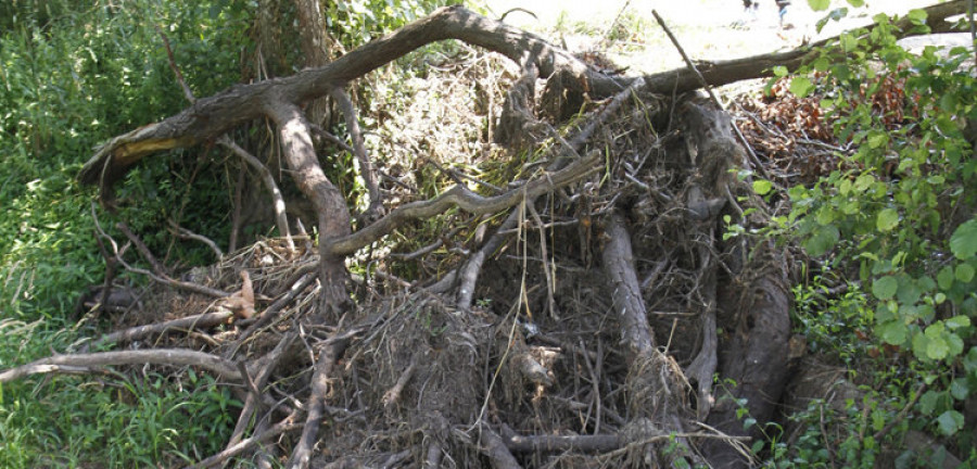 Reportaje: Denuncian el mal estado del cauce del Umia y del entorno de As Aceñas