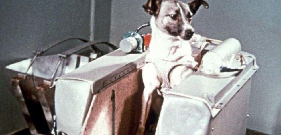 El viaje espacial de la perrita Laika cumple sesenta años