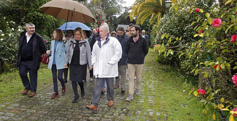 Quinteiro da Cruz experimenta con la camelia como tinte en el sector textil