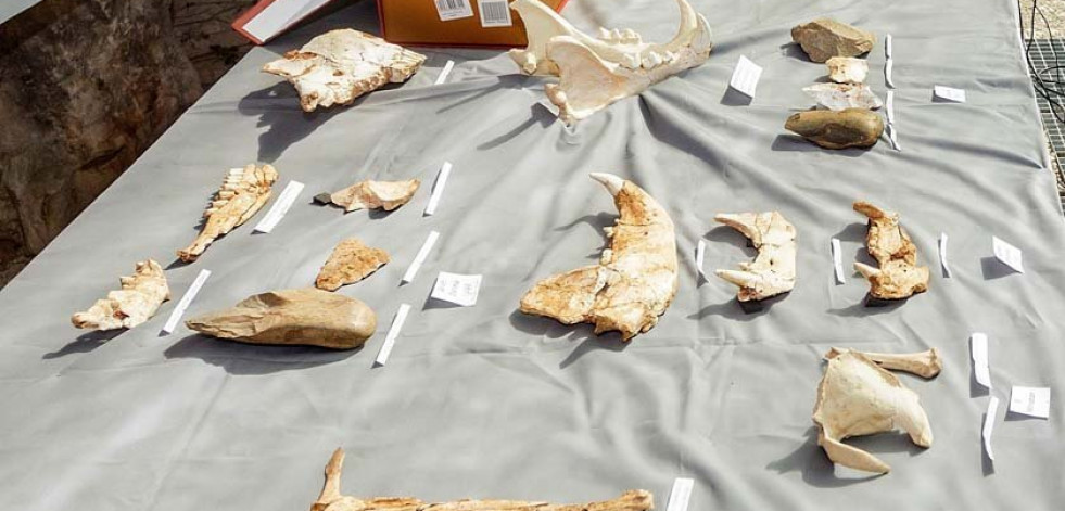 Hallada en Atapuerca una adolescente de 300.000 años