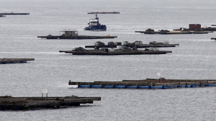El sector del mar barbanzano une esfuerzos para acabar con los vertidos que sufre la Ría