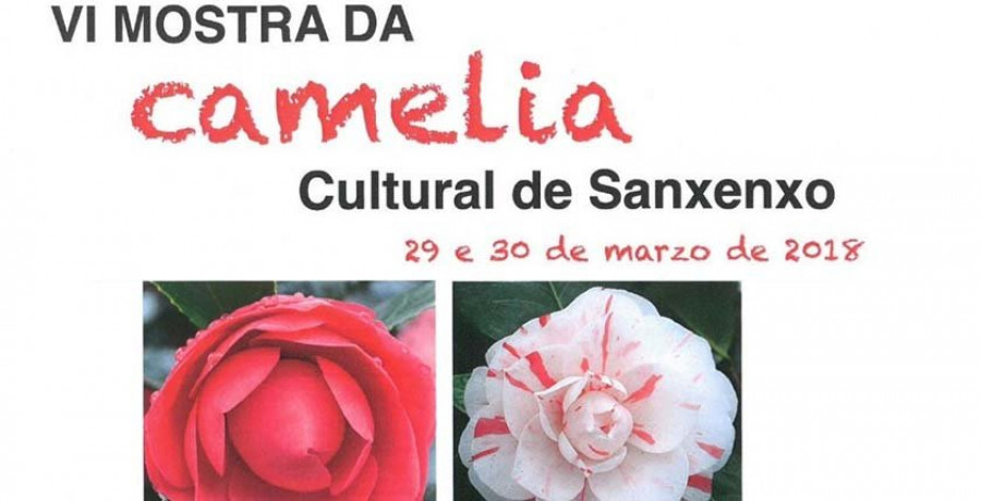 El Círculo Cultural y Deportivo de Nantes estrecha lazos con Japón a través de su Mostra da Camelia