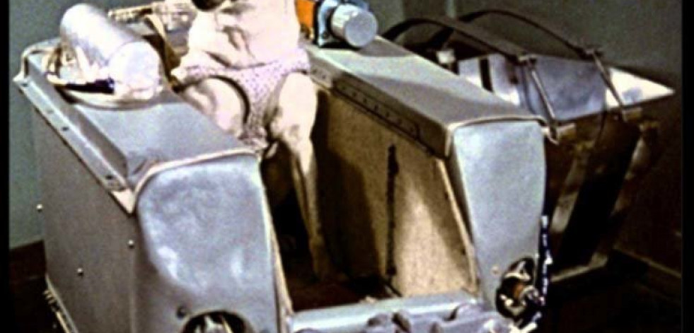 El viaje espacial de la perra “Laika” cumple 59 años