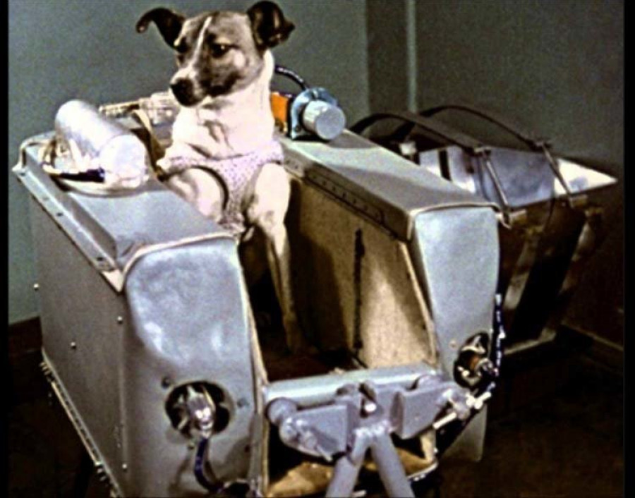 El viaje espacial de la perra “Laika” cumple 59 años