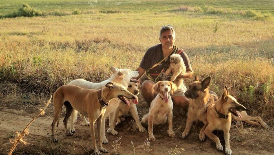 Los perros ayudan a mejorar las dolencias emocionales