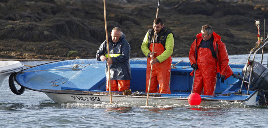 La flota descarta Os Lombos y Mar pide paciencia ante la falta de berberecho