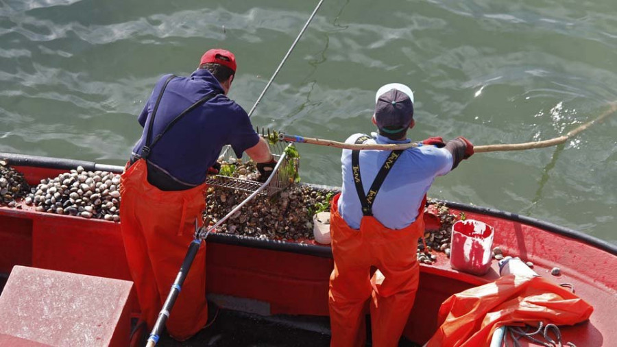 Rañeir@s acude a Mar para hacer funcionar el plan del libre marisqueo