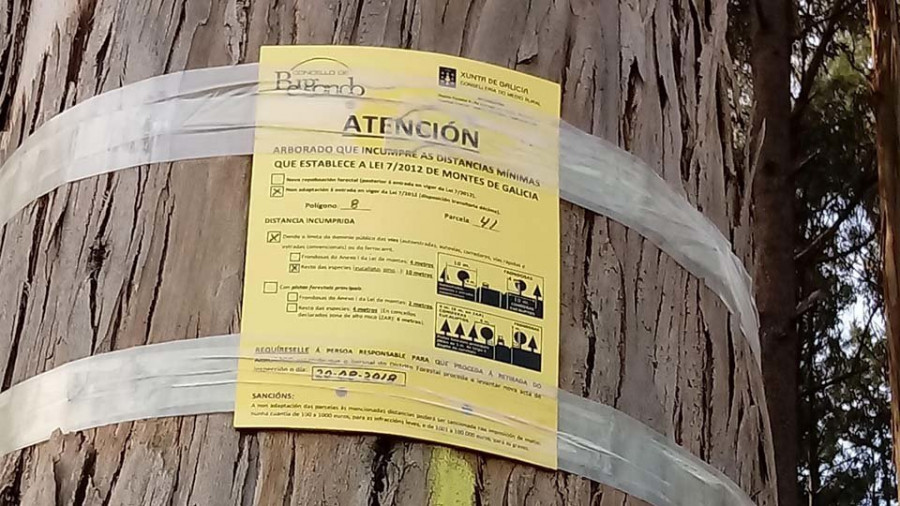 El 25% de los propietarios de montes de Bergondo piden una prórroga para adecuarse a la ley