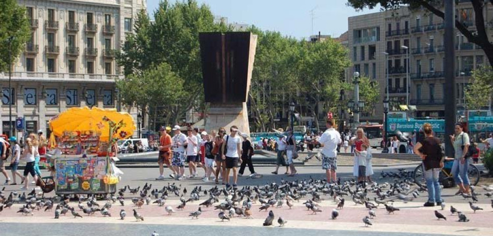 El frenético ritmo de la ciudad pone a cien el ánimo de las aves