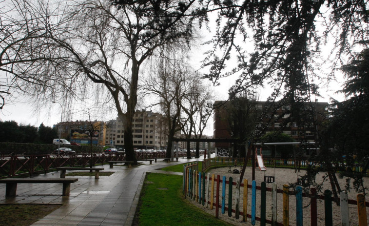 Su mal estado obliga a talar seis árboles en el parque Celso Emilio Ferreiro