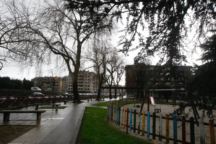 Su mal estado obliga a talar seis árboles en el parque Celso Emilio Ferreiro