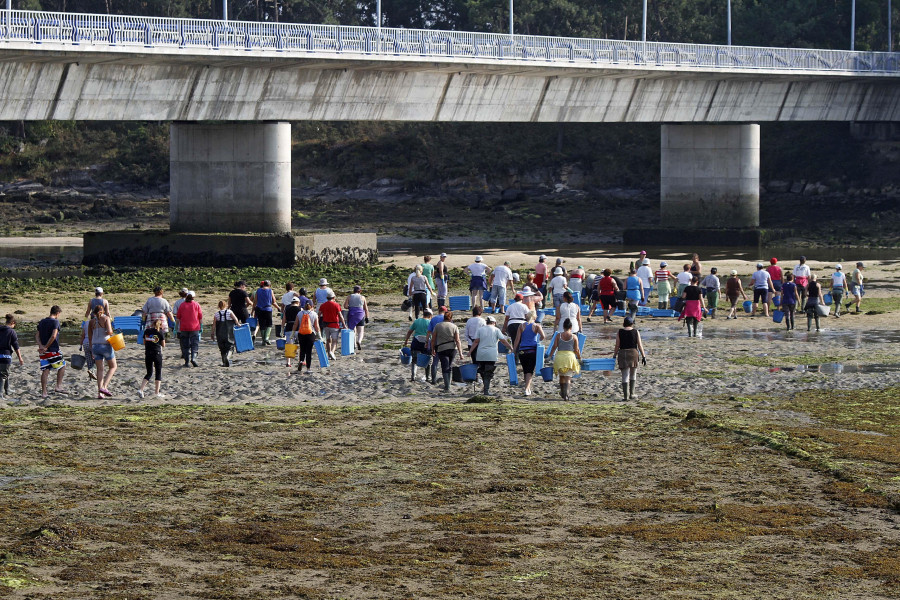 La Cofradía de Vilanova se planta ante el permiso de vertido a una depuradora