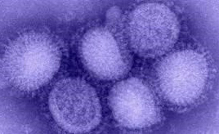 La temporada de gripe termina febrero con apenas ocho casos, frente a 8.737 el año pasado