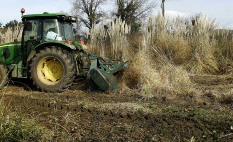 Devuélveme la llave del tractor... y quédate con todo lo demás