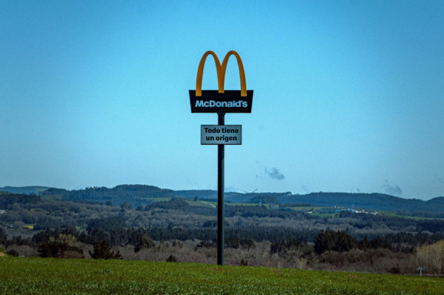 Las vacas del McDonald's pastan en Cospeito