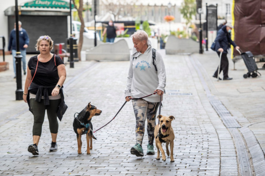 España es uno de los países europeos donde más animales se abandonan