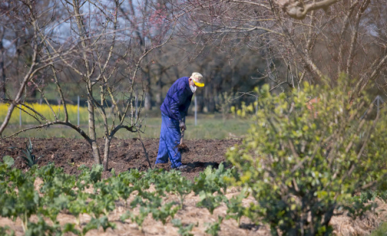 Casi 70.000 vecinos siguen pendientes de que acaben cerca de 100 concentraciones parcelarias