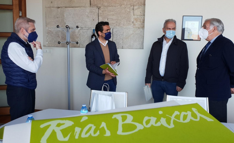 Las ventas de Rías Baixas cayeron un 12 % en 2020, pero sostuvo al alza la exportación