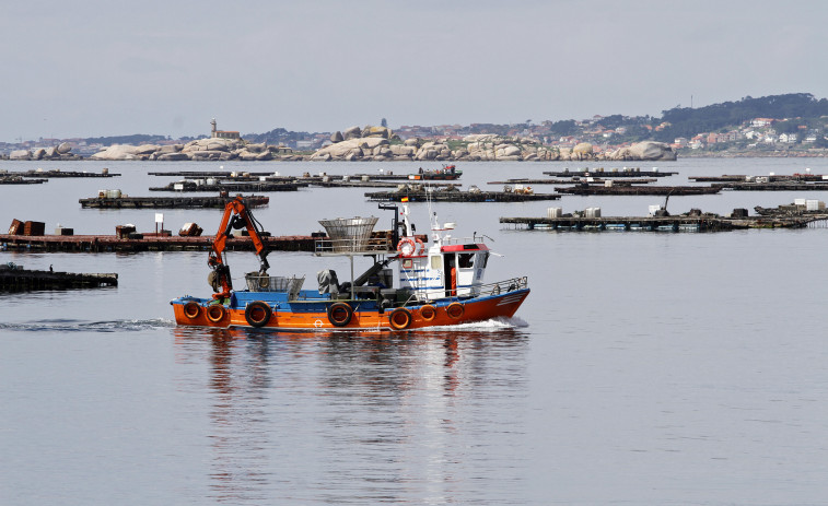 Una sentencia ordena tramitar los cambios de ubicación de bateas paralizados desde 2010