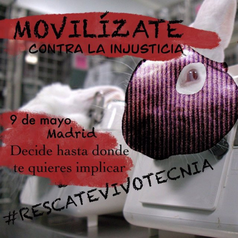 Convocan protesta y corte del tráfico el día 9 para que requisen a los animales del laboratorio Vivotecnia