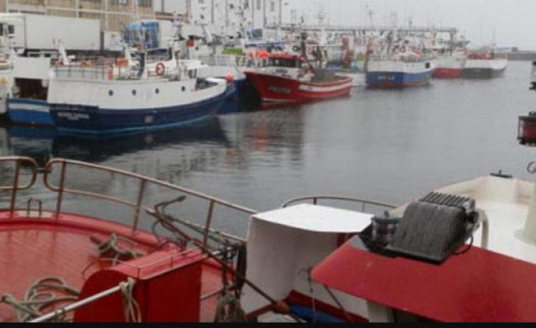 Los cerqueros exigen al Ministerio de Pesca que fije un tope semanal de capturas para la sardina ibérica