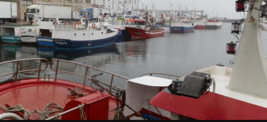 Los cerqueros exigen al Ministerio de Pesca que fije un tope semanal de capturas para la sardina ibérica