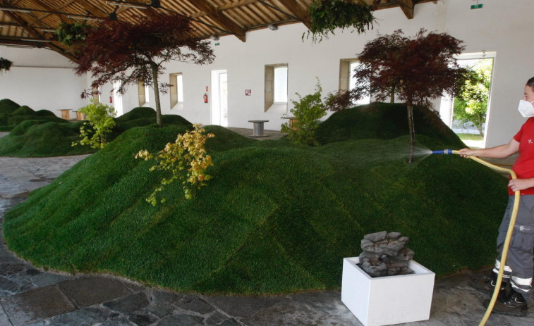 Un jardín japonés, olivos y claveles decoran Vilagarcía “Espavila!”