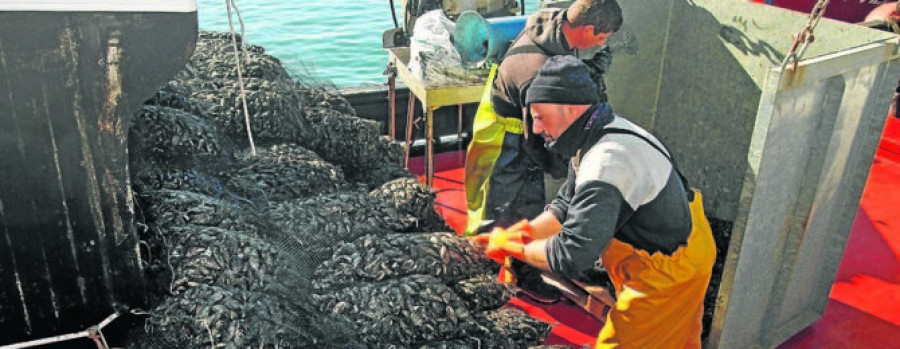 Un proyecto del CSIC busca predecir la llegada de la marea roja a las rías gallegas