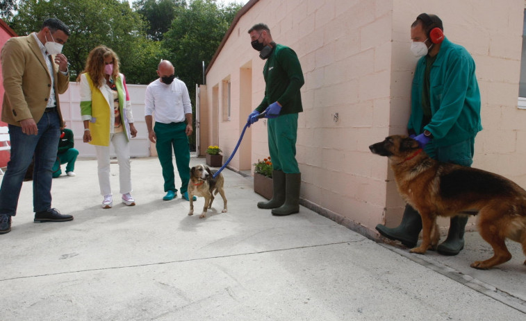 El CAAN incorpora nuevos equipos veterinarios para ser “referencia” en bienestar animal