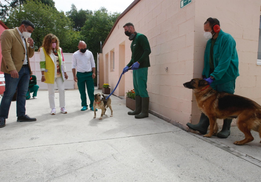 El CAAN incorpora nuevos equipos veterinarios para ser “referencia” en bienestar animal