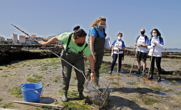 Decenas de voluntarios retiran 177 kilos de basura de las playas del entorno de Cortegada
