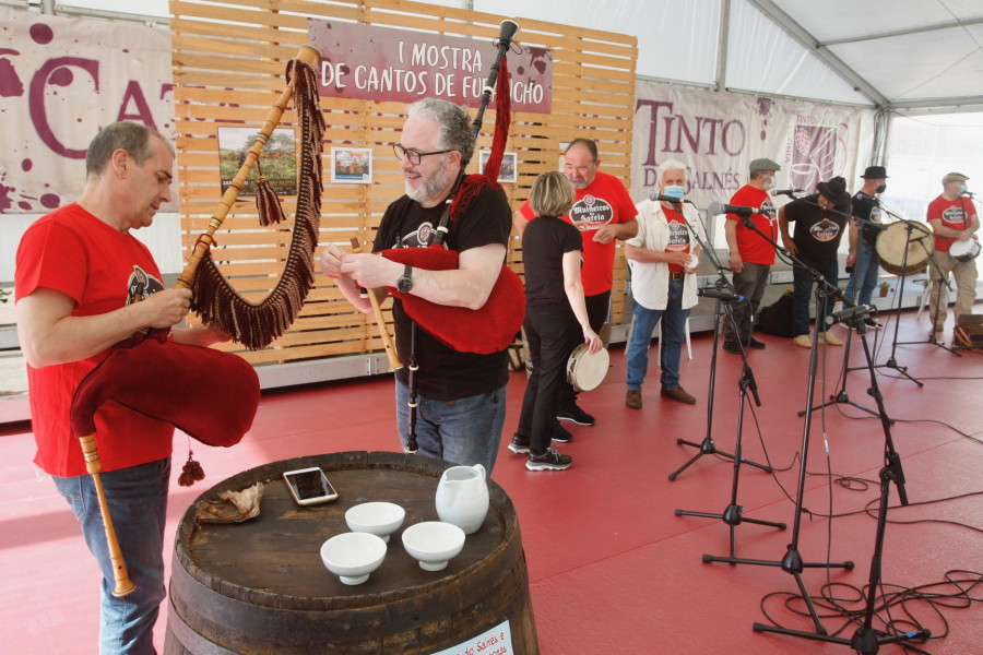 A Festa do Tinto reinvéntase para poder rexurdir en pandemia tras un ano de parón