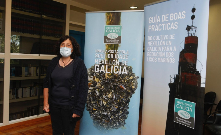 Mexillón de Galicia testa palillos de madera y plástico para sus bateas
