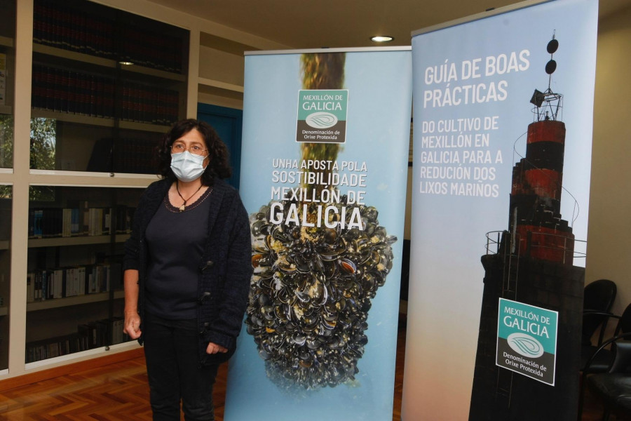 Mexillón de Galicia testa palillos de madera y plástico para sus bateas