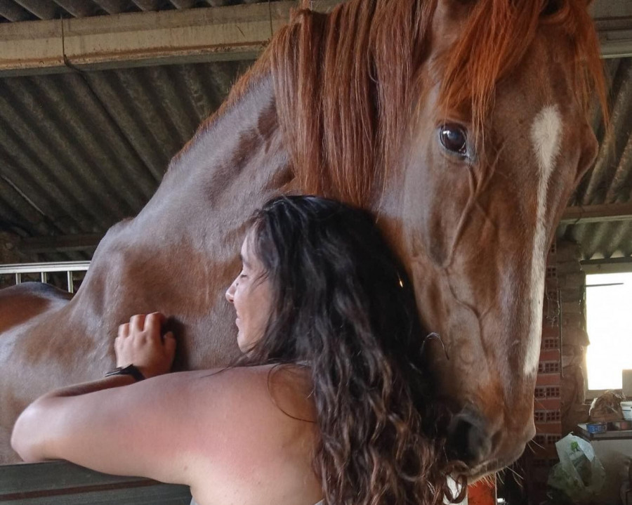 El Refugio de Animales busca padrinos urgentes para la recuperación del caballo Lakota