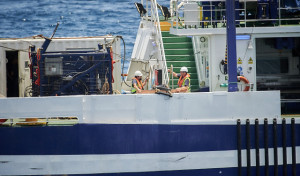 La Guardia Civil confía en tener indicios sobre Anna Gimeno antes de la marcha del buque el jueves