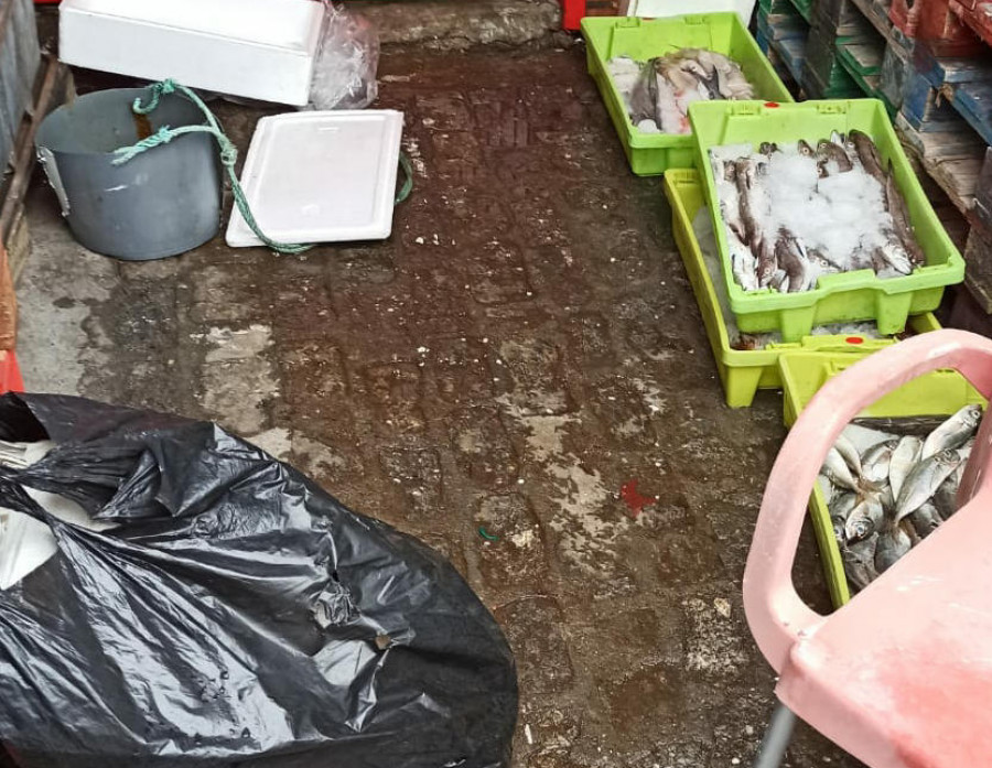 Decomisan 50 kilos de pescado que estaban en unas cajas a la venta en el entorno del mercadillo de Ribeira