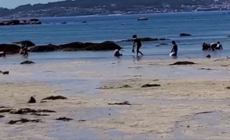 Vigilantes de la Cofradía de A Illa sorprenden en plena acción a furtivos de bañador en Areoso