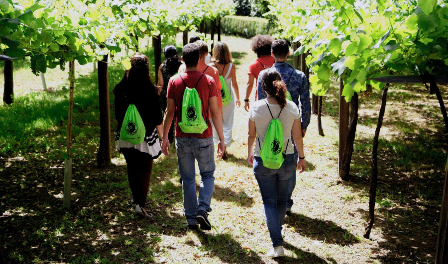 La Ruta do Viño Rías Baixas recupera su actividad con un paseo por viñedos en Cambados