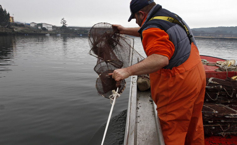 Cambados imparte a finales de año un curso homologado para atar y reparar redes de pesca