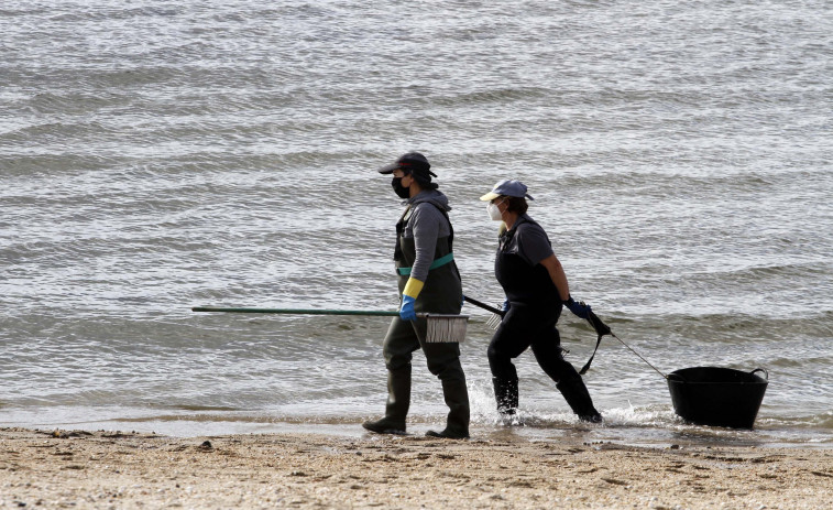 Las mariscadoras de Carril vuelven a faenar en la playa de A Compostela el lunes