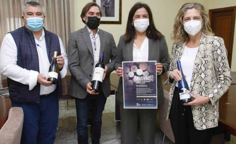 La vendimia encara su fin con 43 millones de kilos y Meis lo festeja con el regreso de “Meus Viños”